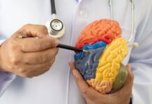 Universidad de Guanajuato llama a reflexionar sobre cuidado cerebral