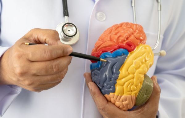 Universidad de Guanajuato llama a reflexionar sobre cuidado cerebral