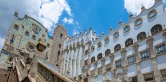 Campus Guanajuato de la UG es líder en registros ante IMPI