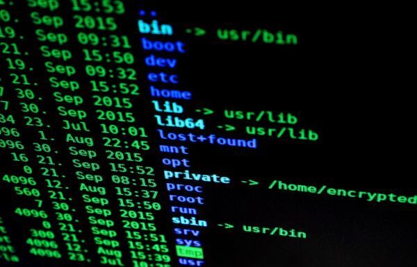 Hackean a la Secretaría de Seguridad; logran obtener información sensible