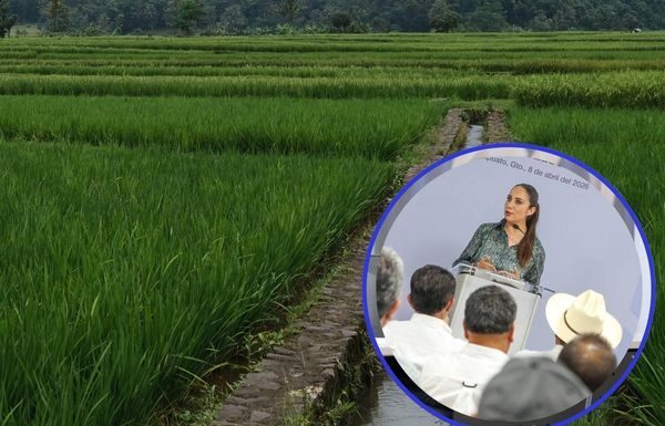 Apuesta Libia Dennise por el fortalecimiento e innovación del campo