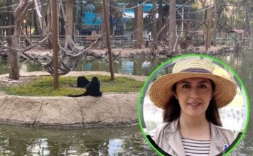 Por primera vez, una mujer será directora del Zoológico de León