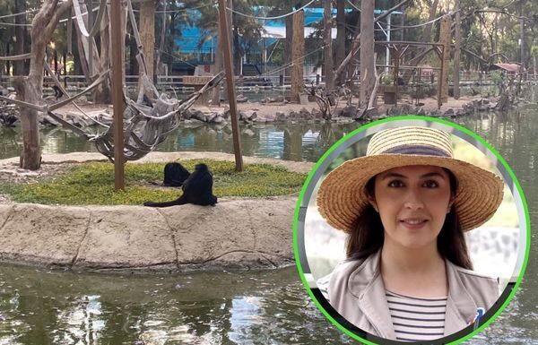Por primera vez, una mujer será directora del Zoológico de León
