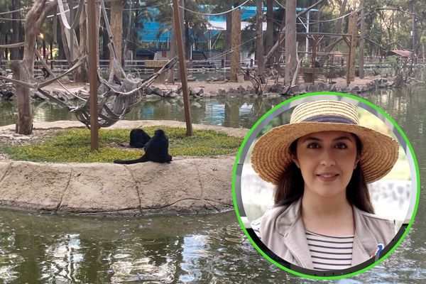 El terrorismo es la negación de las vías legales, del diálogo y la mediación, y en el caso que nos ocupa, una amenaza constante en la zona (40)