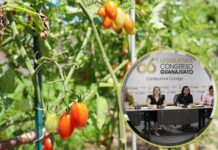 Fomentan diputados agricultura familiar sostenible