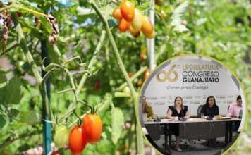 Fomentan diputados agricultura familiar sostenible