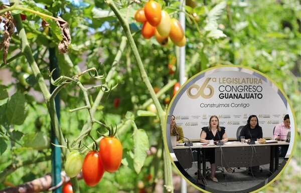 Fomentan diputados agricultura familiar sostenible