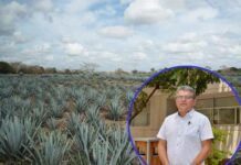 Patenta UG dispositivo para transplante mecanizado de agave