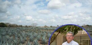 Patenta UG dispositivo para transplante mecanizado de agave