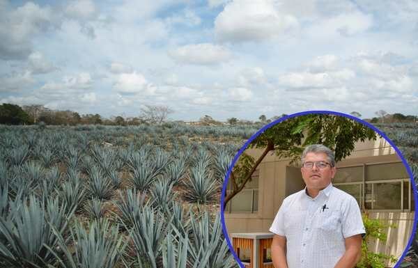 Patenta UG dispositivo para transplante mecanizado de agave