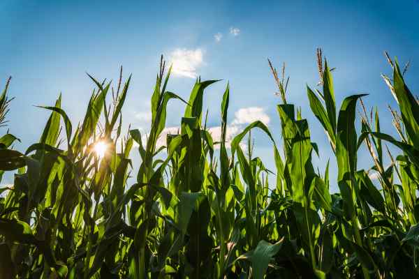 El terrorismo es la negación de las vías legales, del diálogo y la mediación, y en el caso que nos ocupa, una amenaza constante en la zona (7)