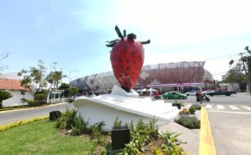 La fresa, símbolo de identidad y orgullo de Irapuato