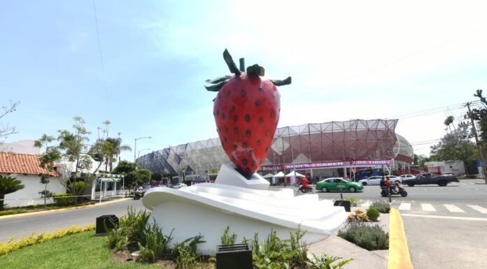 La fresa, símbolo de identidad y orgullo de Irapuato