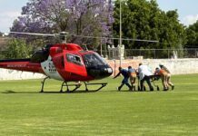 SSG organiza procuración de órganos como urgencia nacional