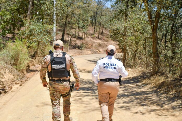 WhatsApp Image 2026-04-08 at 3.10.20 PM