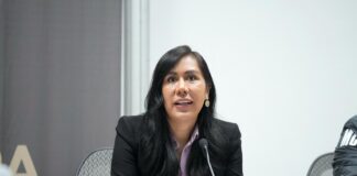 “Plan B” de Reforma Electoral no tiene candados contra delincuencia: PAN