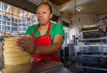 Destinará León fondo de 3 MDP para contener alza en tortillas