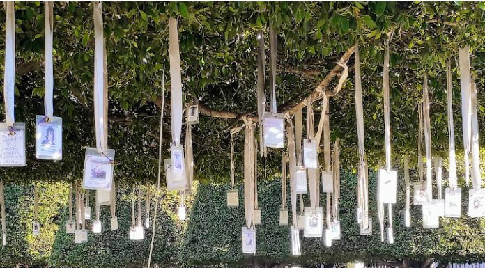 Gobierno de México descalifica informe ONU sobre desapariciones