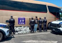 Transportaba 23 mil dósis de droga en autobús de pasajeros; policía estatal lo detiene
