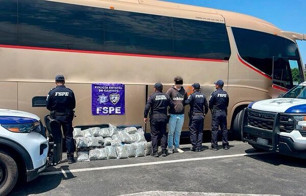 Transportaba 23 mil dósis de droga en autobús de pasajeros; policía estatal lo detiene
