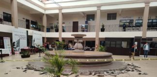Daña hombre histórica fuente en Celaya; “fue la derecha” atajó alcalde