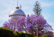 Invita Celaya a una Semana de Pascua Ambiental