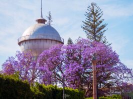 Invita Celaya a una Semana de Pascua Ambiental