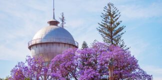 Invita Celaya a una Semana de Pascua Ambiental