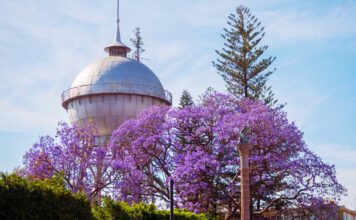 Invita Celaya a una Semana de Pascua Ambiental