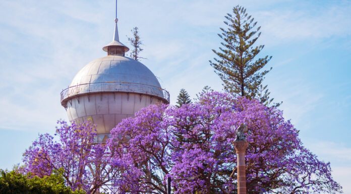 Invita Celaya a una Semana de Pascua Ambiental