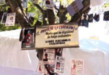 Colectivo reporta 19 cuerpos en entierro clandestino en Cortazar