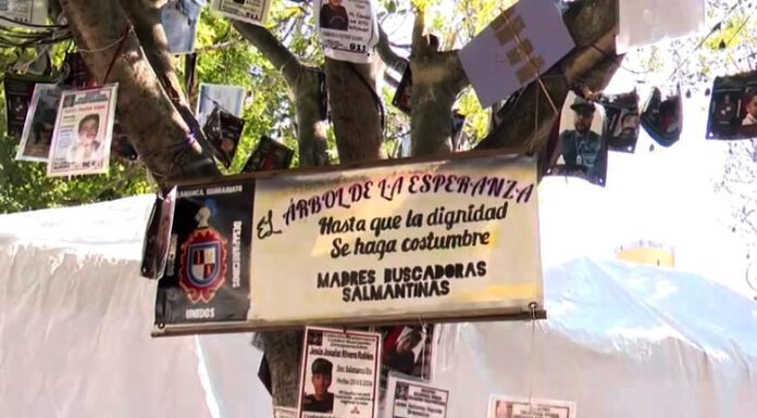 Colectivo reporta 19 cuerpos en entierro clandestino en Cortazar