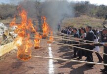 Guanajuato destruye bienes utilizados por la delincuencia