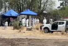 Hallan entierro clandestino en Santa Rosa de Lima, Villagrán