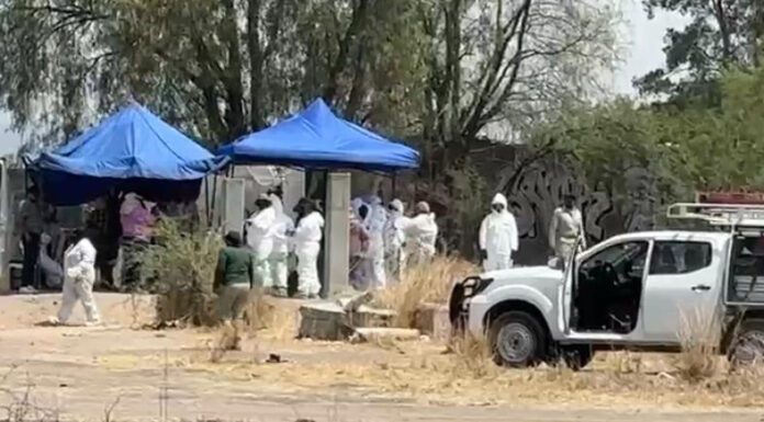 Hallan entierro clandestino en Santa Rosa de Lima, Villagrán
