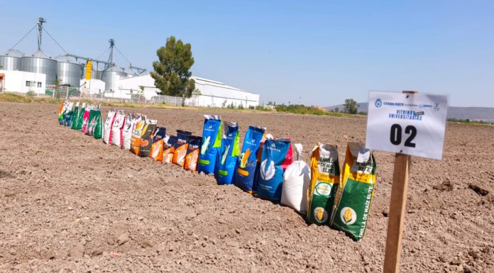 Recibirá Xonotli innovaciones para el campo de 28 instituciones