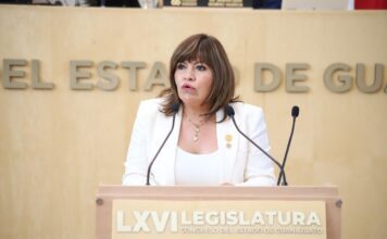 Reglas claras para combatir el nepotismo: Ruth Tiscareño
