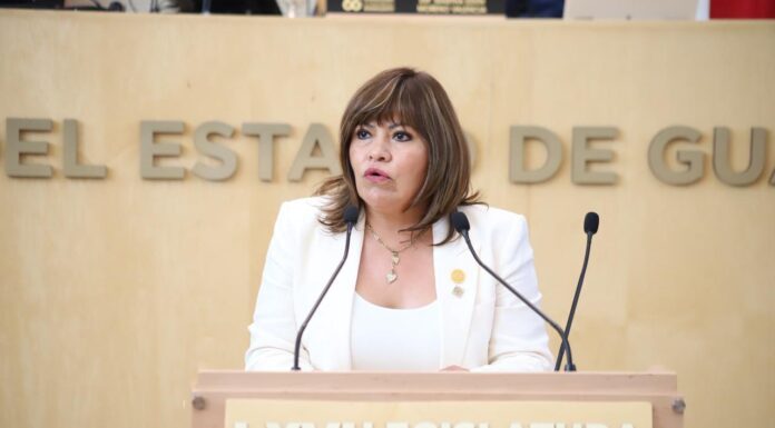 Reglas claras para combatir el nepotismo: Ruth Tiscareño