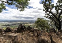 Guanajuato apuntala cuidado de Áreas Naturales Protegidas