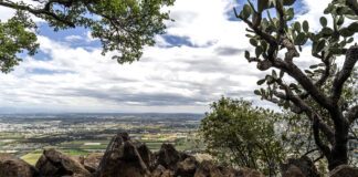 Guanajuato apuntala cuidado de Áreas Naturales Protegidas