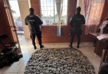 CONFIA desmantela punto de venta de narcóticos en Silao