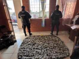 CONFIA desmantela punto de venta de narcóticos en Silao