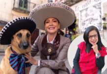 Samantha Smith y el arte de no gobernar