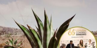 Analizan en Comisión de Hacienda ley para apoyar a pequeño productor de agave