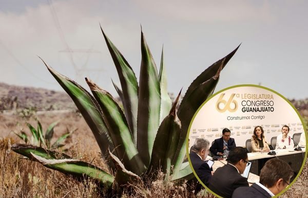 Analizan en Comisión de Hacienda ley para apoyar a pequeño productor de agave