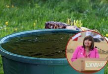 Que condominios capten agua pluvial, propone diputada Ruth Tiscareño