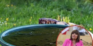 Que condominios capten agua pluvial, propone diputada Ruth Tiscareño