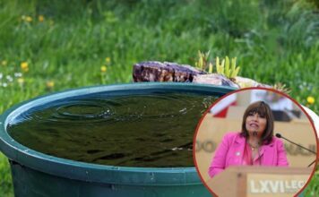 Que condominios capten agua pluvial, propone diputada Ruth Tiscareño