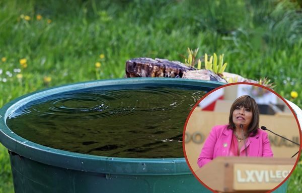 Que condominios capten agua pluvial, propone diputada Ruth Tiscareño