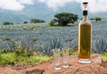 Tequila es la fuerza y orgullo líquido de Guanajuato